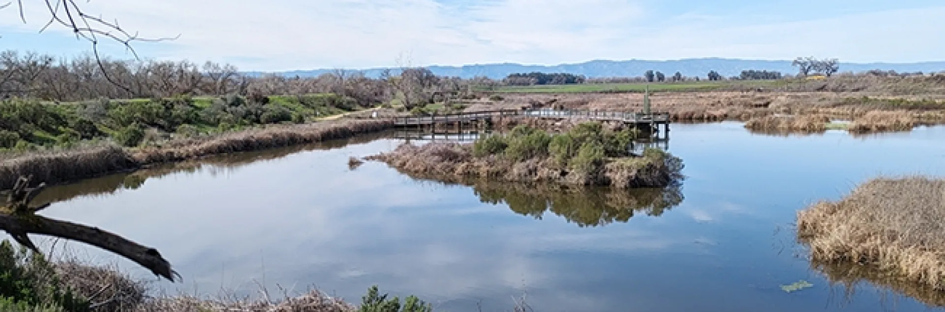 This is the wetland area in Cache Creek conservatory which is adjacent to the Tending and Gathering Garden. (Photo by Geoffrey Attardo)