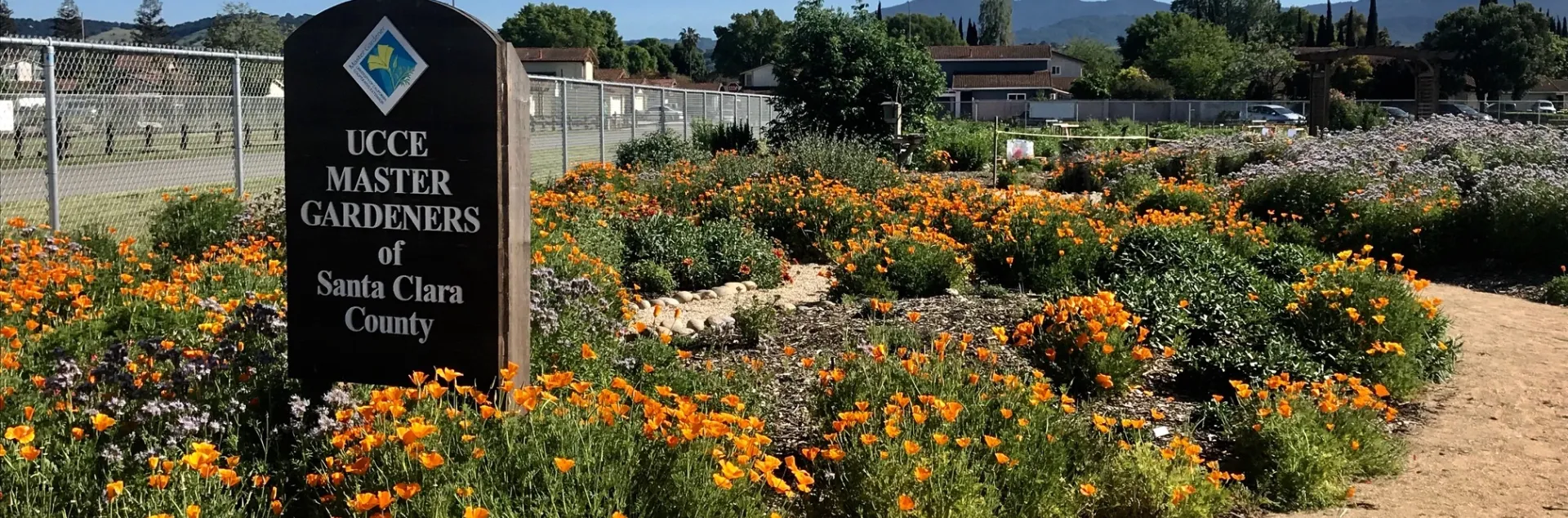 Entrance to Martial Cottle Park garden featuring a sign for UCCE Master Gardeners, a footpath, and blooming orange California poppies.