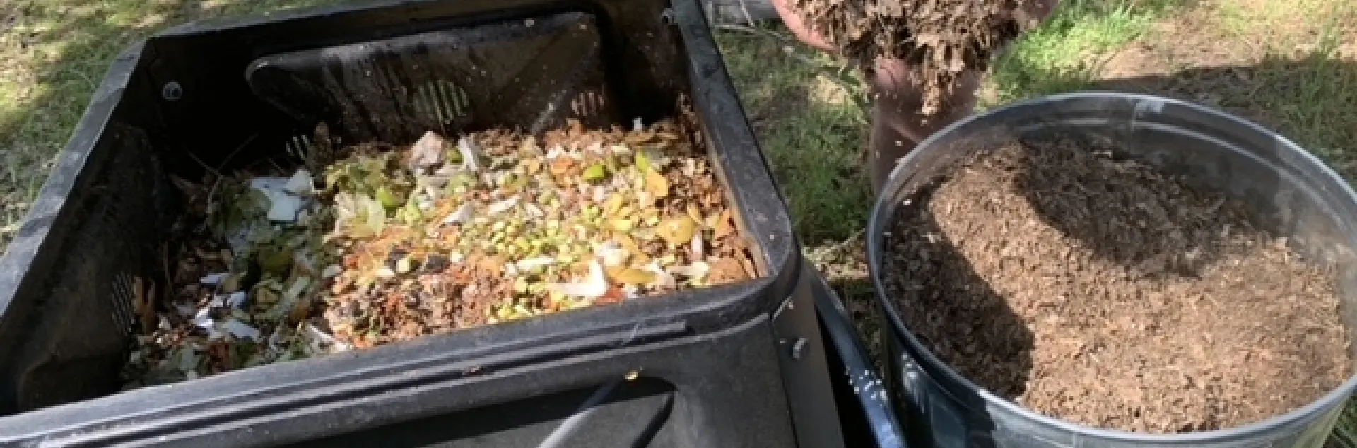 Add shredded dry leaves.