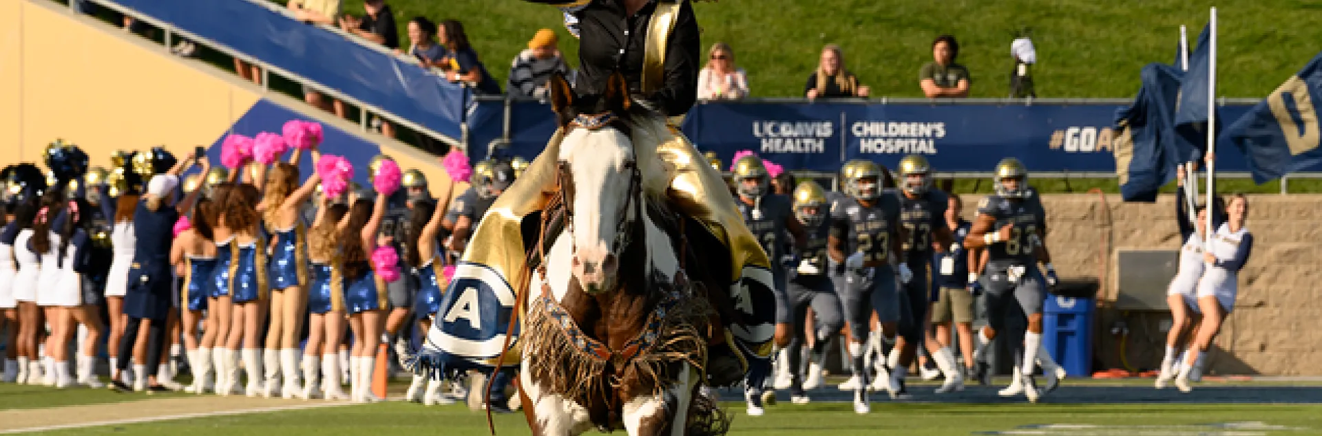 Cowgirl rides horse onto football field with cheerleaders and football players in background