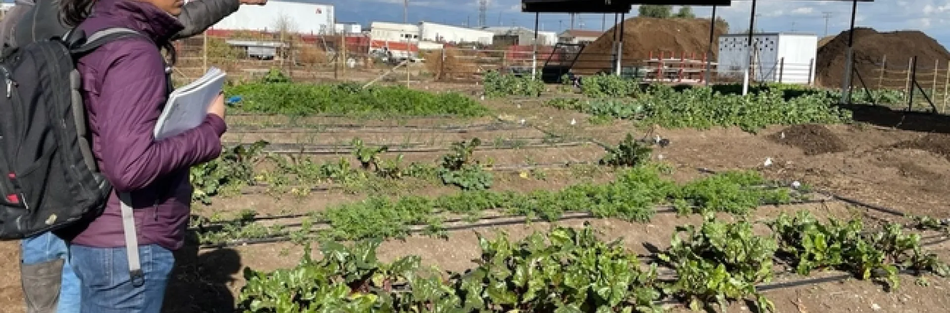 -3314111035323018691