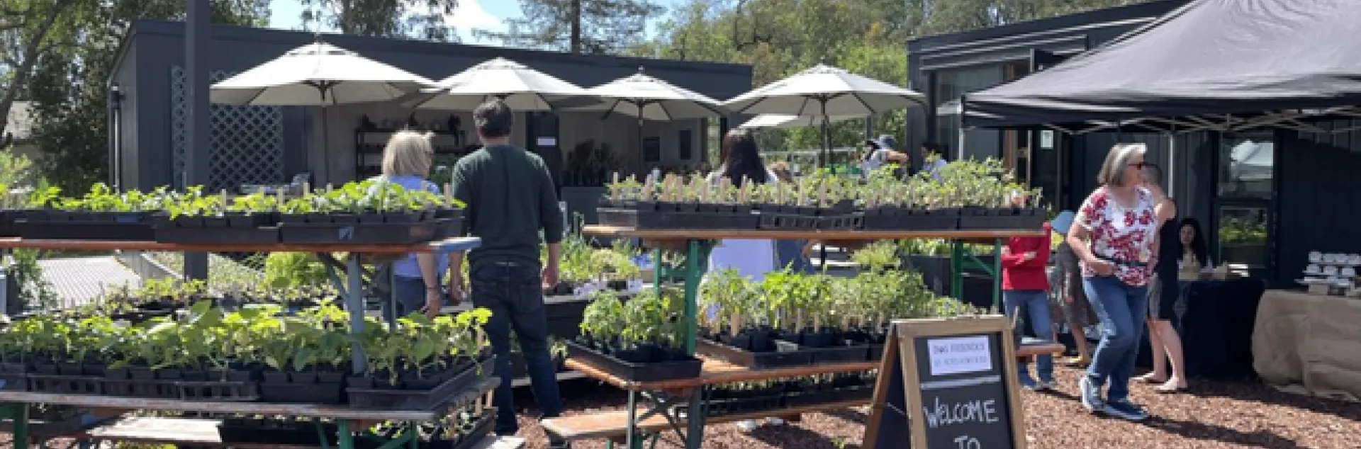 Five people shop among racks of seedlings. A chalkboard sandwich board reads: "Welcome to Flatbed Farms."