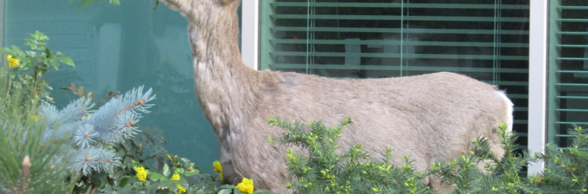 Photo: Creative Commons