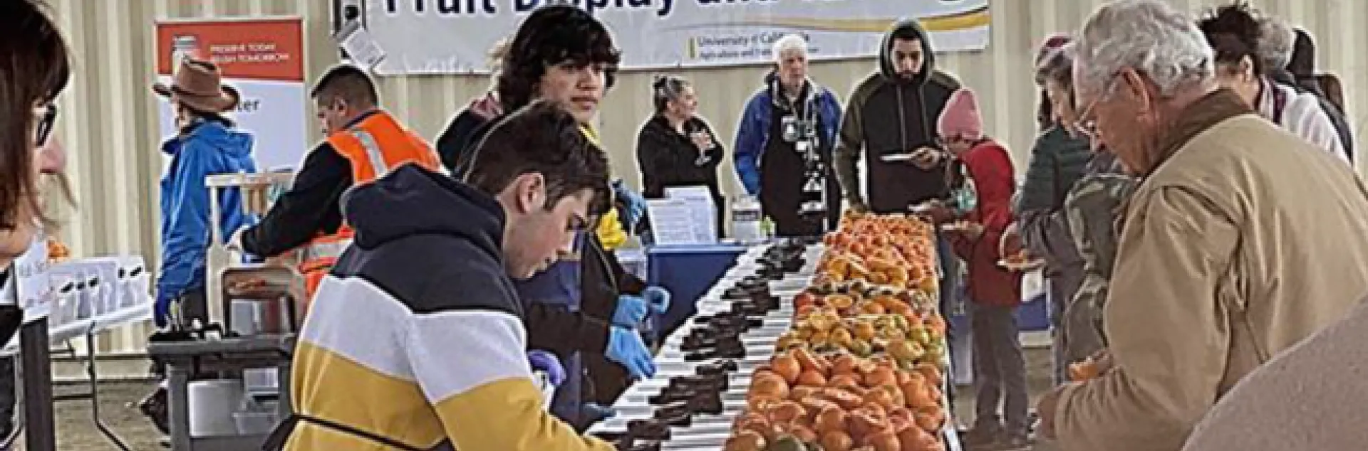 Visitors can taste different citrus varieties at Lindcove REC on Dec. 13-14.