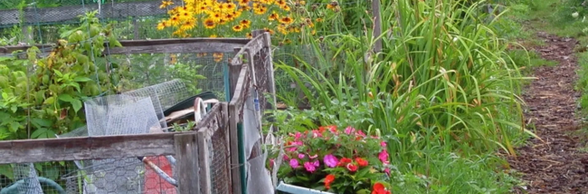 4795749925 9a1784e737 c