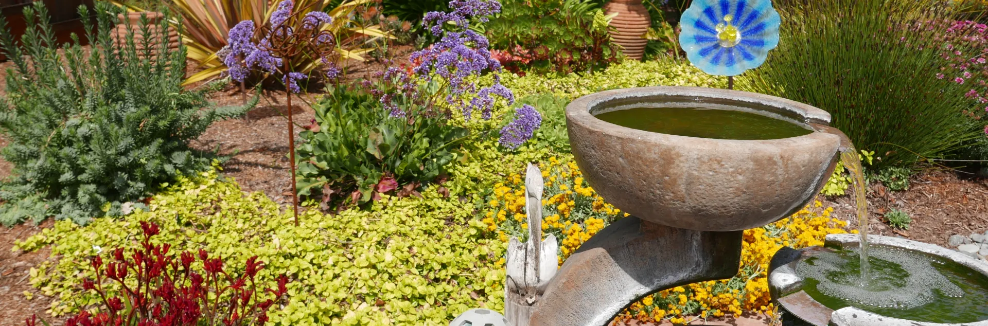 A garden with a fountain in the foreground and a variety of plants behind