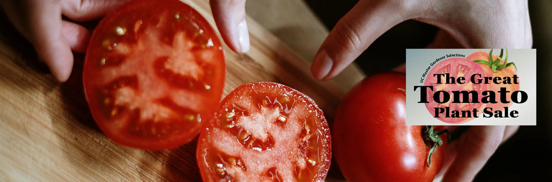 GTPS 2026 - Tomatoes - Slicer | UC Master Gardener Program of