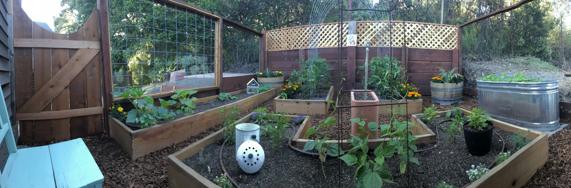 panoramic view of a newly planted vegetable garden