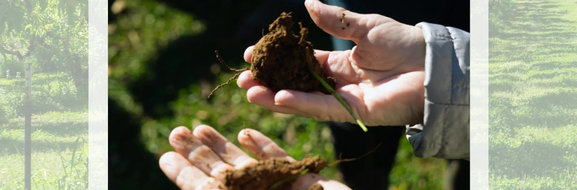 Soil Health Field Day