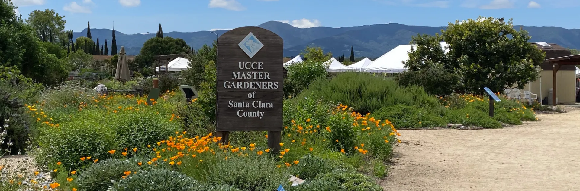 Master Gardener sign amid spring wildflowers