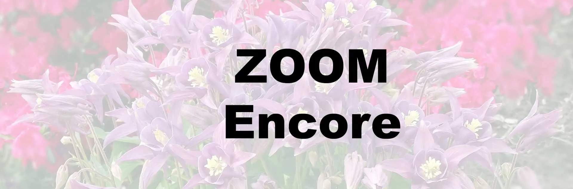 Gardening with Color ZOOM Encore