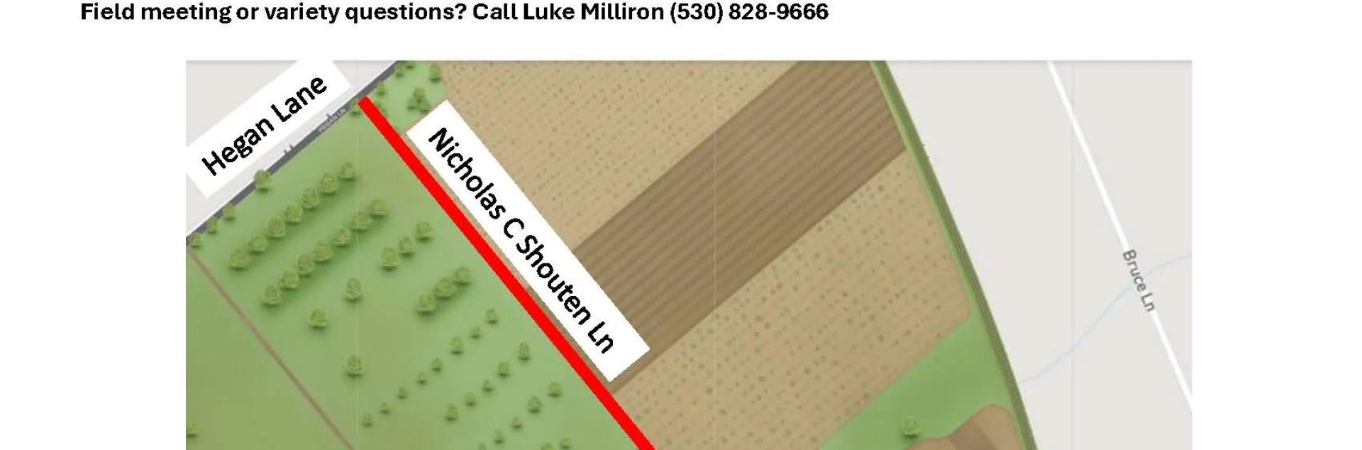 Almond Variety Trial Field Day Take Two