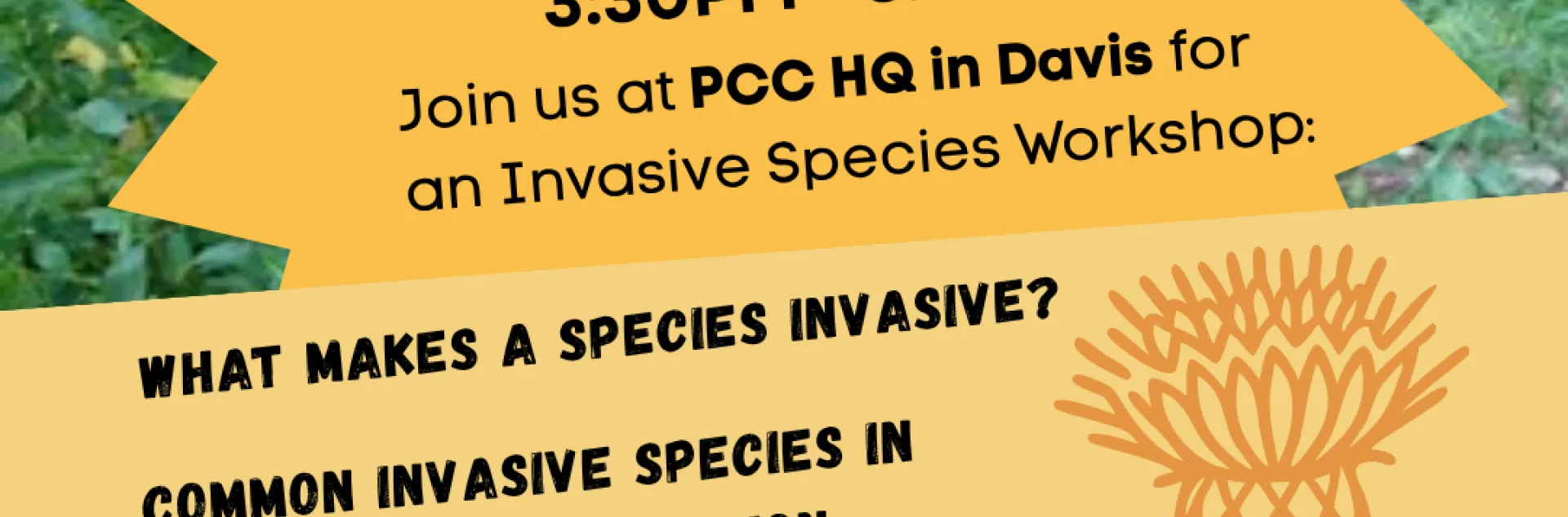 flyer of Invasive species removal workshop