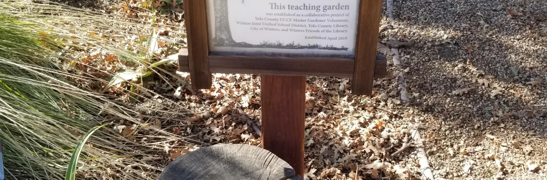 Winters Library Teaching Garden wooden sign and tree stump seat