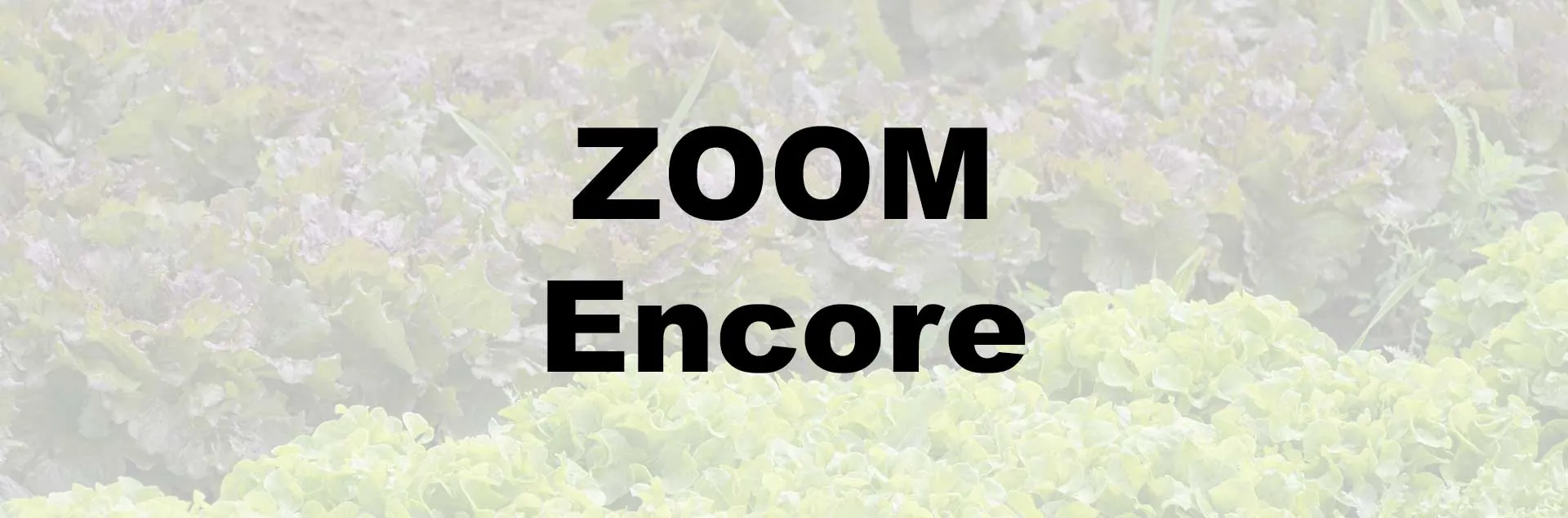 Grow Cool Season Vegetables - Zoom