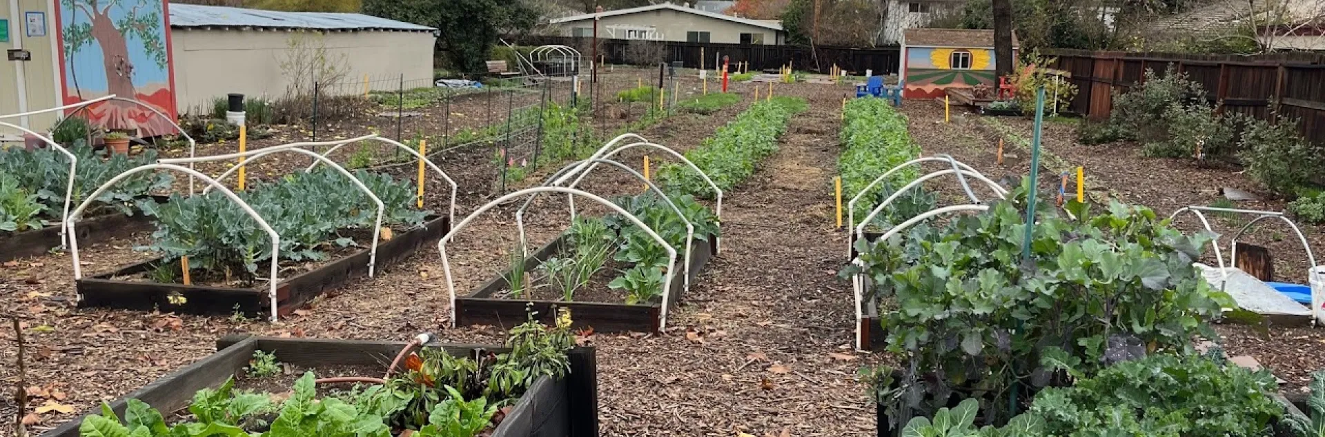 Grace garden winter crops