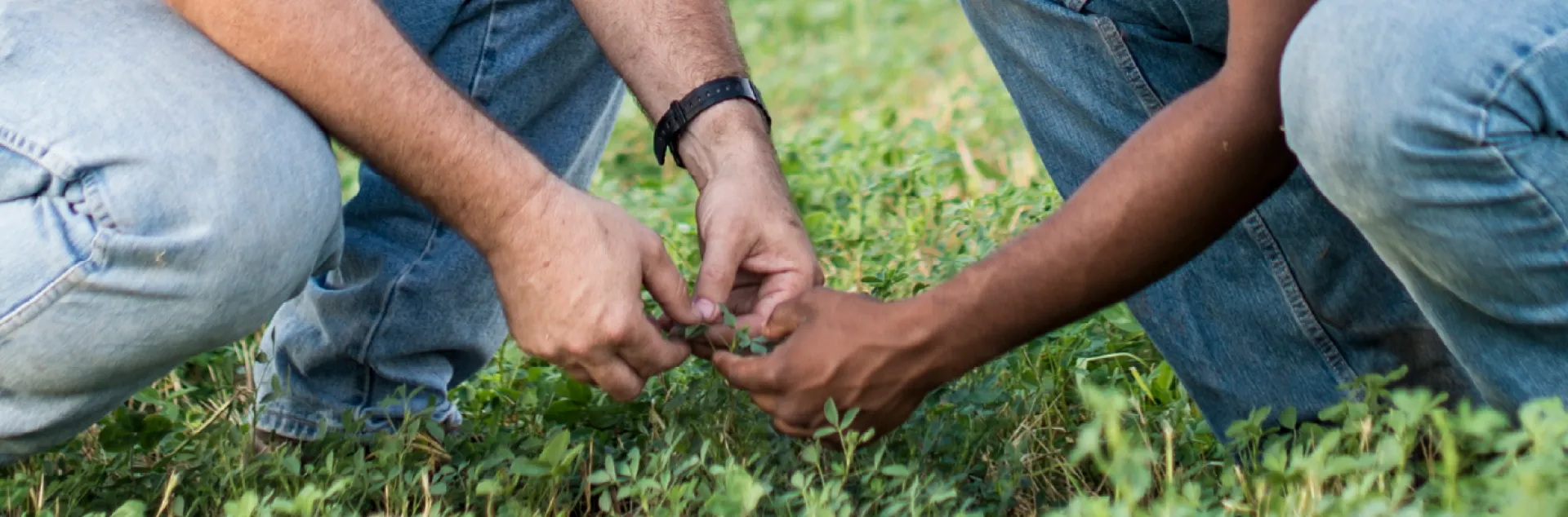 farmer retirement workshop