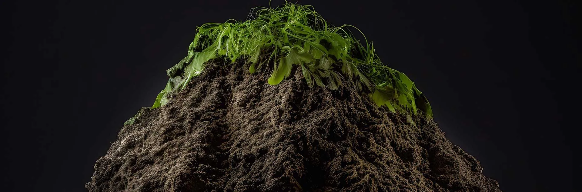 Composting - Huntington Beach