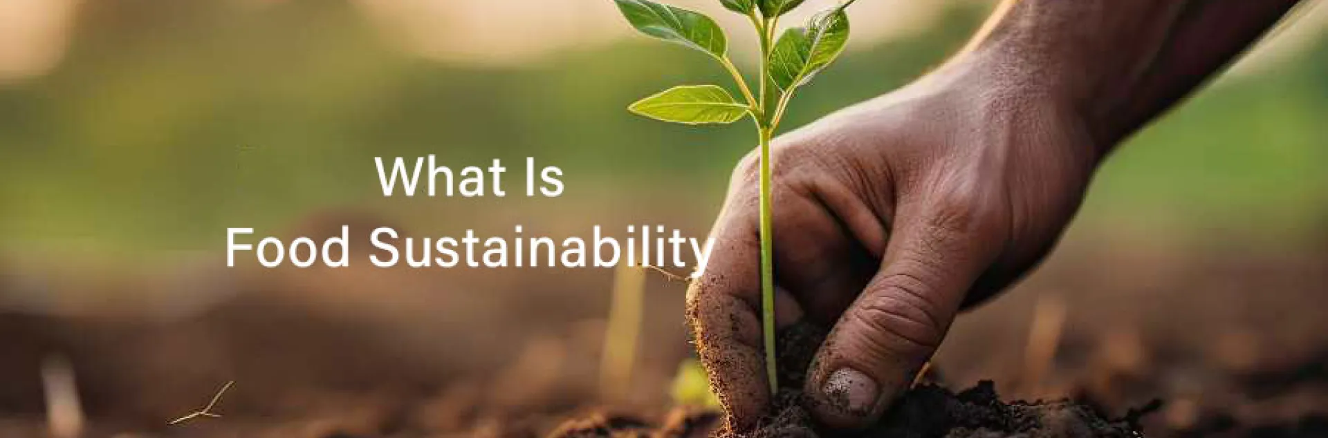 food sustainability