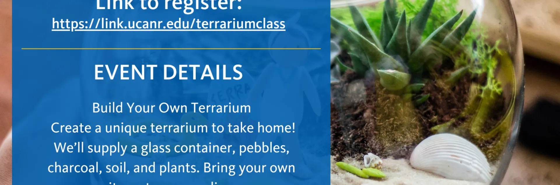 terrarium fundraiser flyer with a terrarium in the background