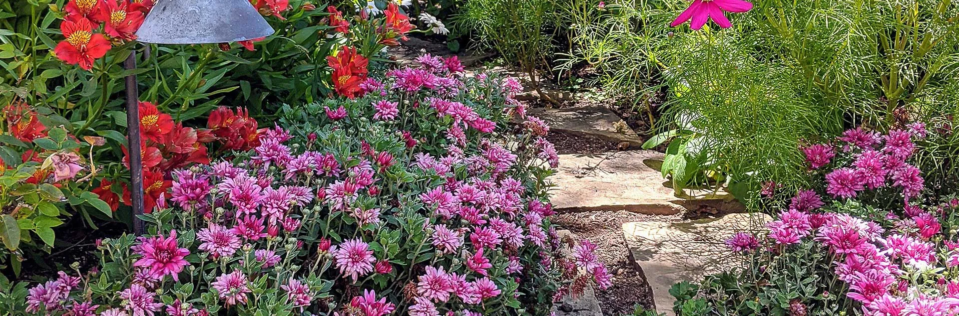 [PODCAST] Low Effort Flower Gardens