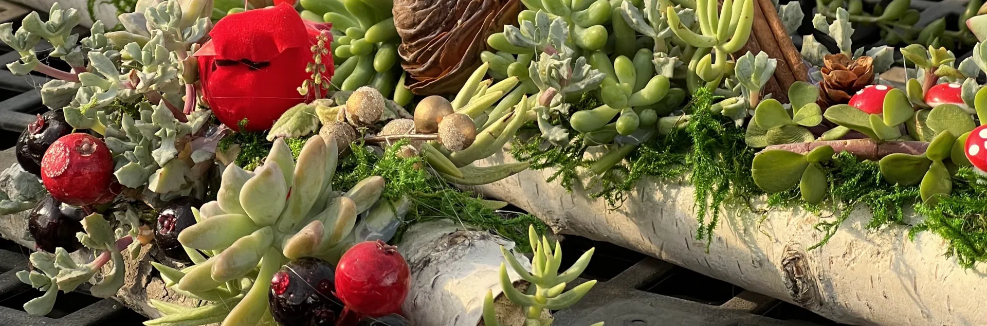 Festive yule log arrangement using birch tree wood, with succulents, moss, red berries, mushroom picks, cinnamon sticks, pinecones, and decorative birds.