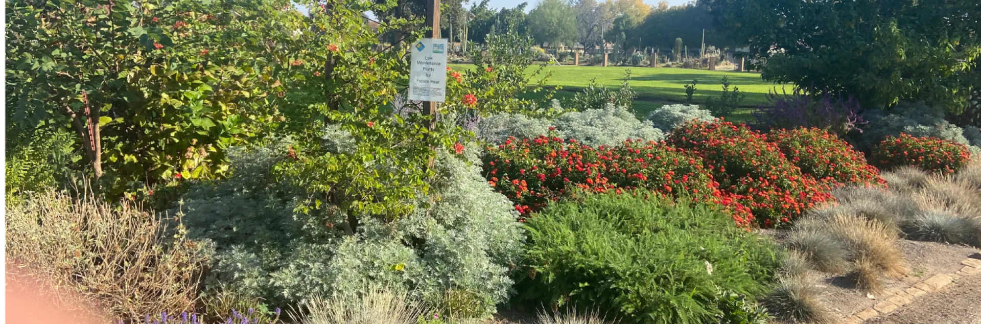 low maintance garden GOS