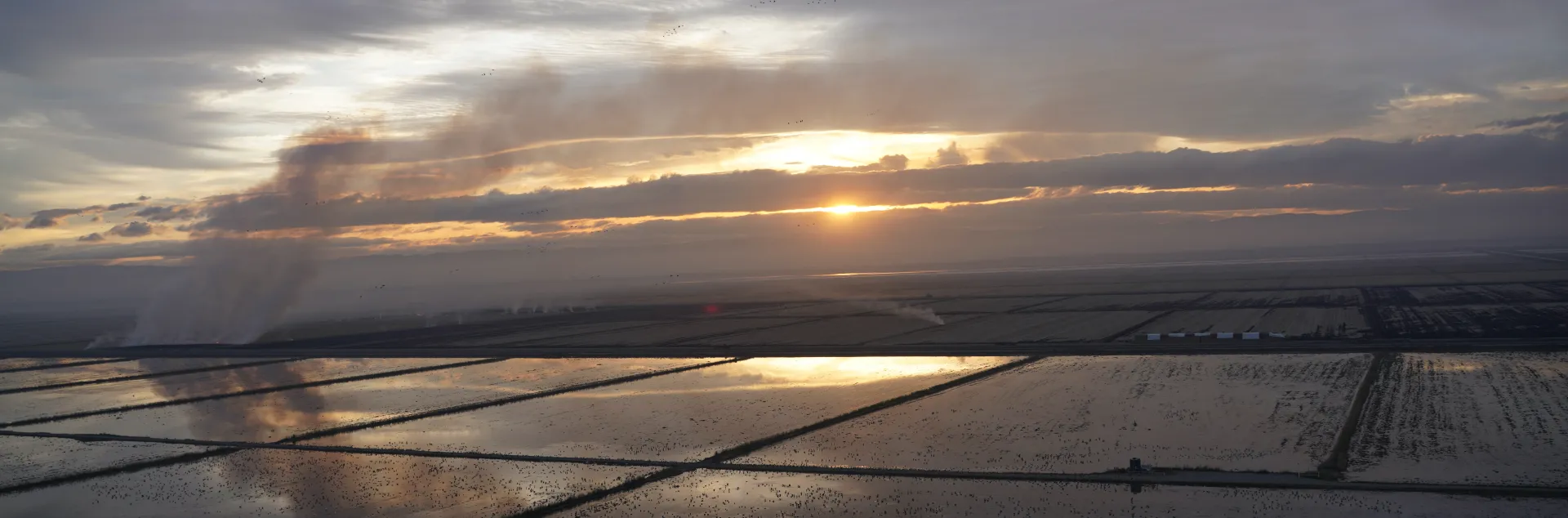 Winter flooded rice fields and one field burning against the sunset