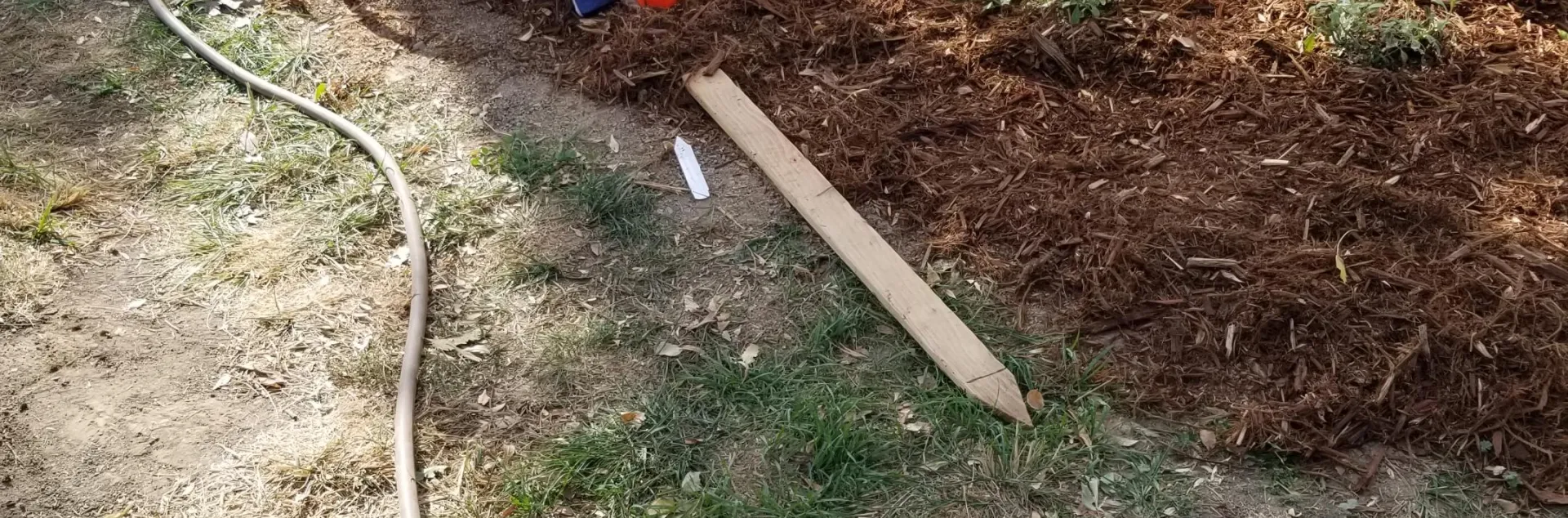 new garden with small plants and planting in progress