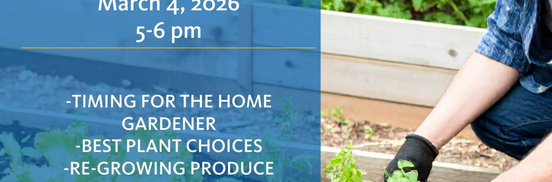 Succession Planting | UC Master Gardeners of Solano County