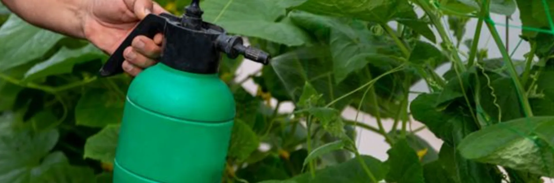 fish emulsion applicator