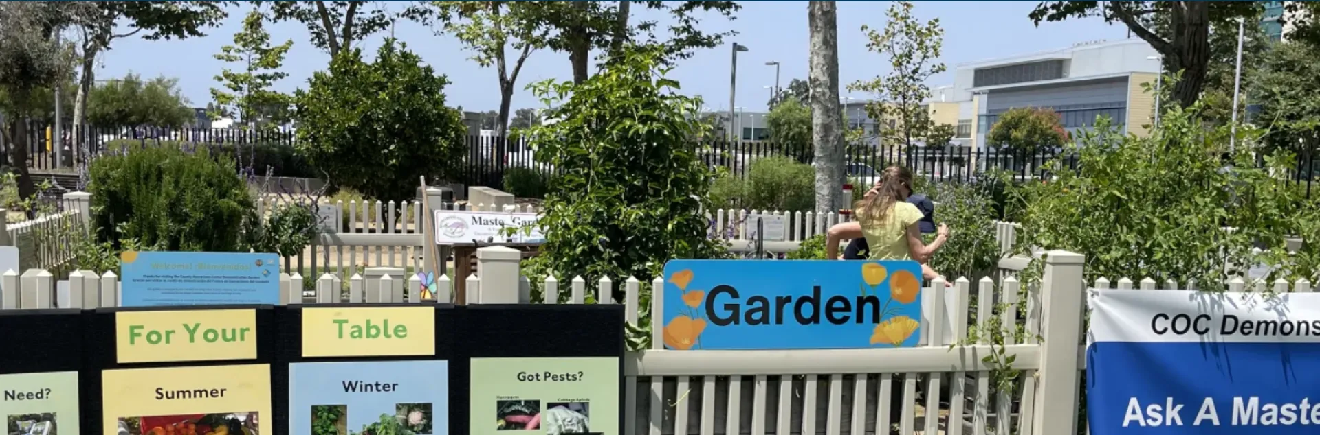 Community Garden Graphic