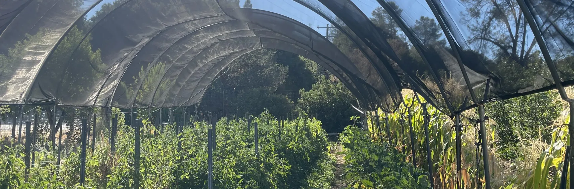 Le-Fort's Organic Crop Farm