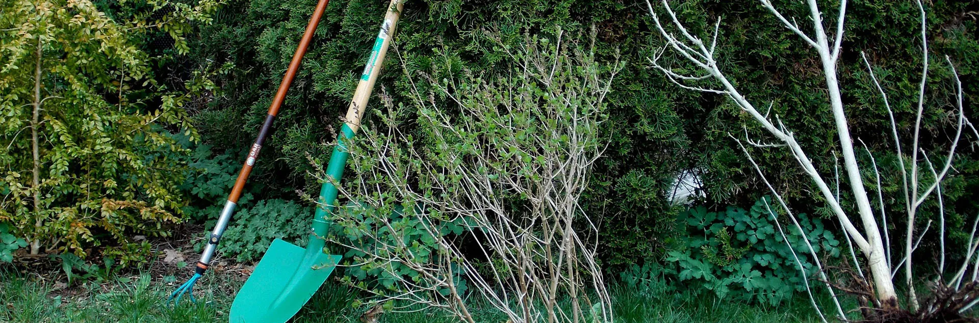 Month By Month in the Garden - Anaheim