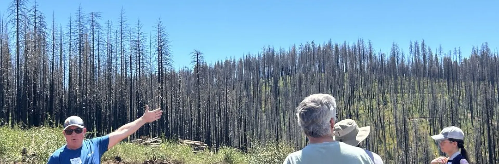 A group of people stand and assess the severity of a post-fire landscape.