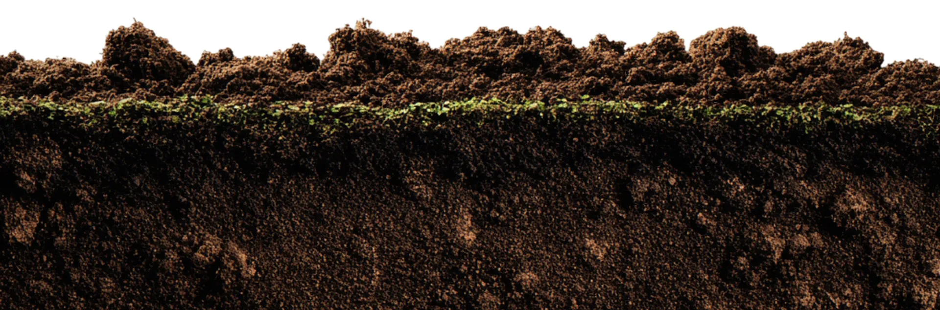 brown layers of soil with a small layer of green moss