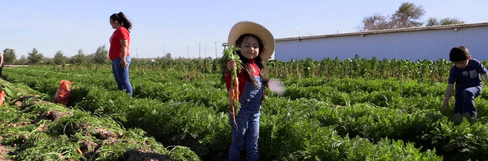 Niños y una mujer recogiendo zanahorias en un campo durante FarmSmart evento