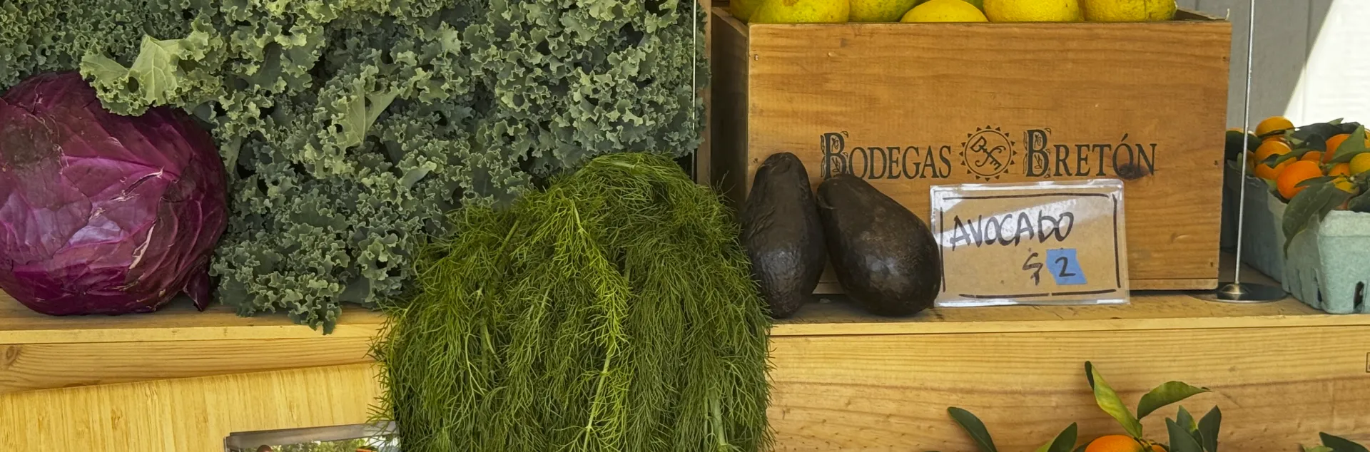 Repollo morado, cilantro, limones y otros vegetales de venta 