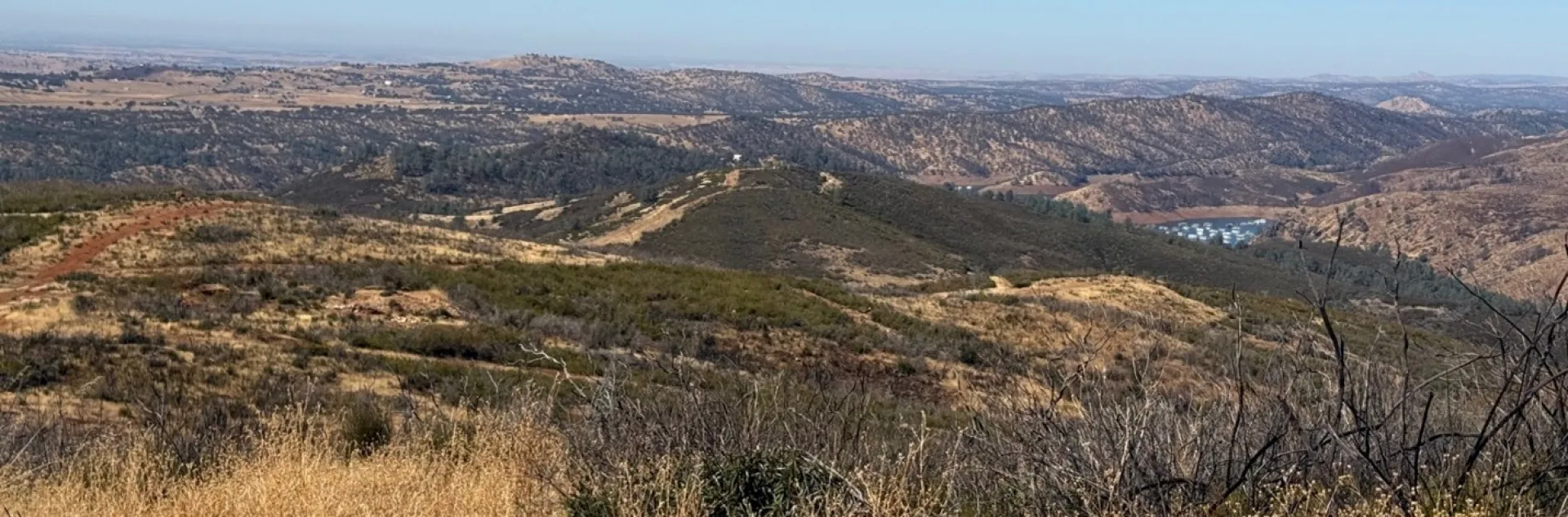 dry brush in front opens to landscape of hills covered by trees and rangelands. A lake is in the valley in the distance