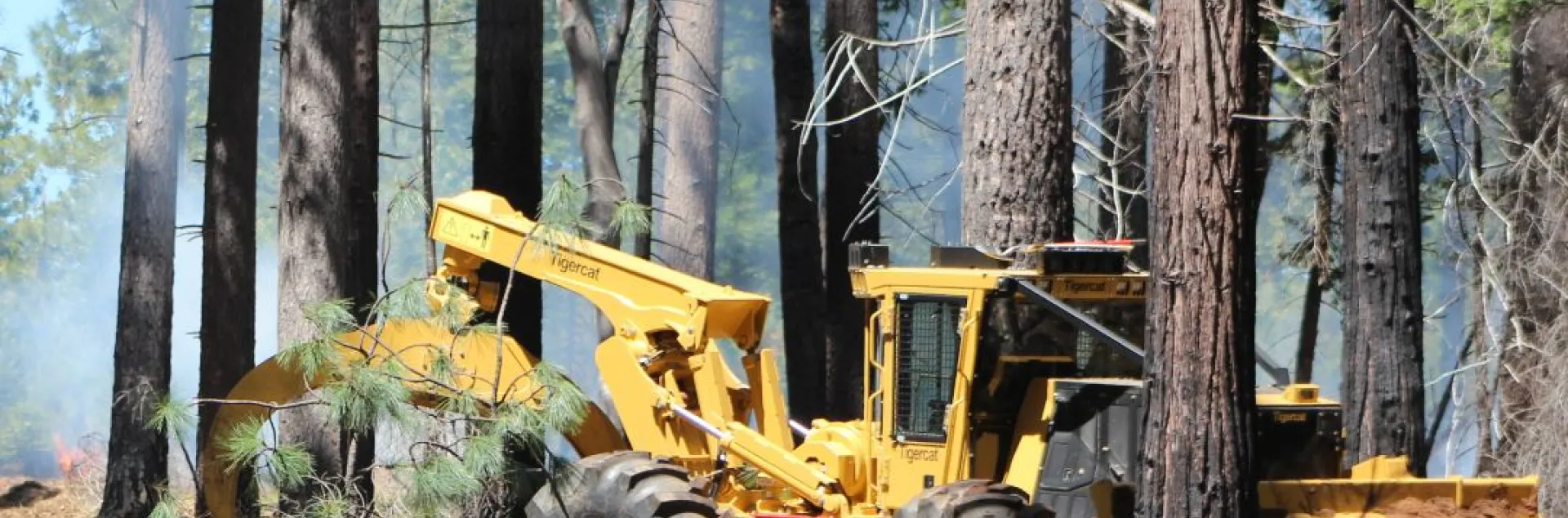Masticator cleans up salvage trees in a post-fire forest.
