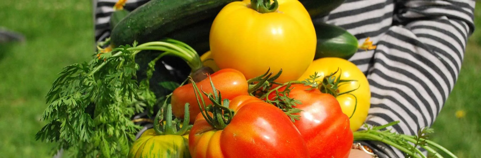 Grow it Now: Warm Season Vegetables - Fullerton