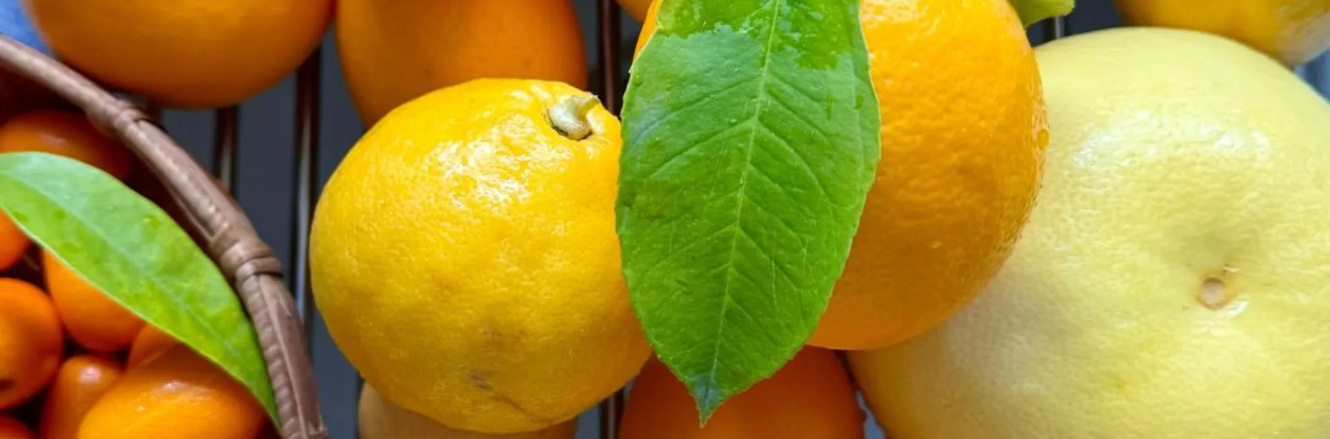 a pile of citrus fruits