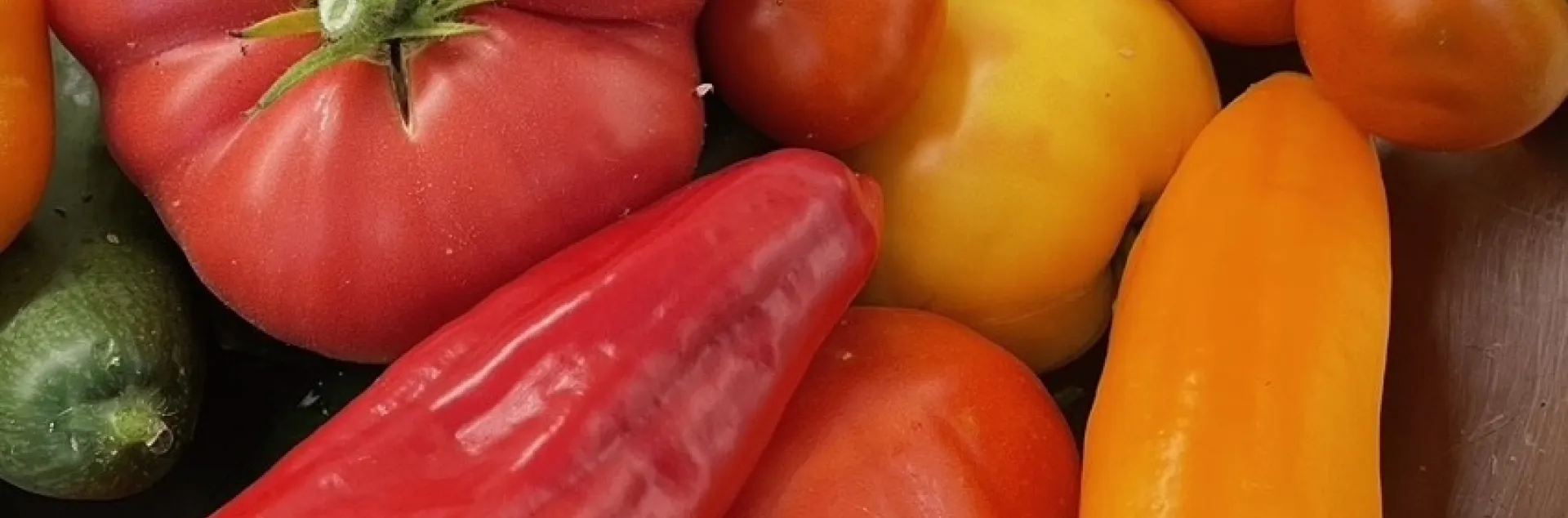 Vegetables, by Karen Schaffer