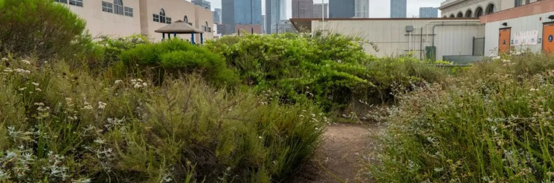 Área verde de la primaria Esperanza en Los Ángeles.