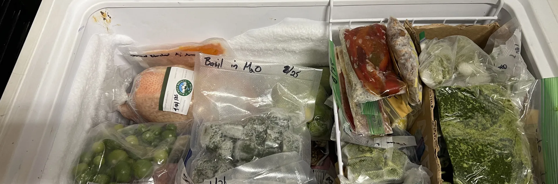 Chest freezer full of frozen bagged veggies
