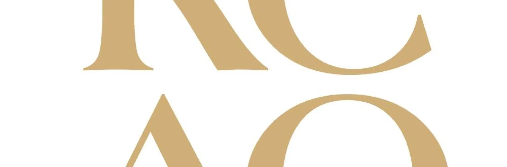 Kings Community Action Organization Square Logo