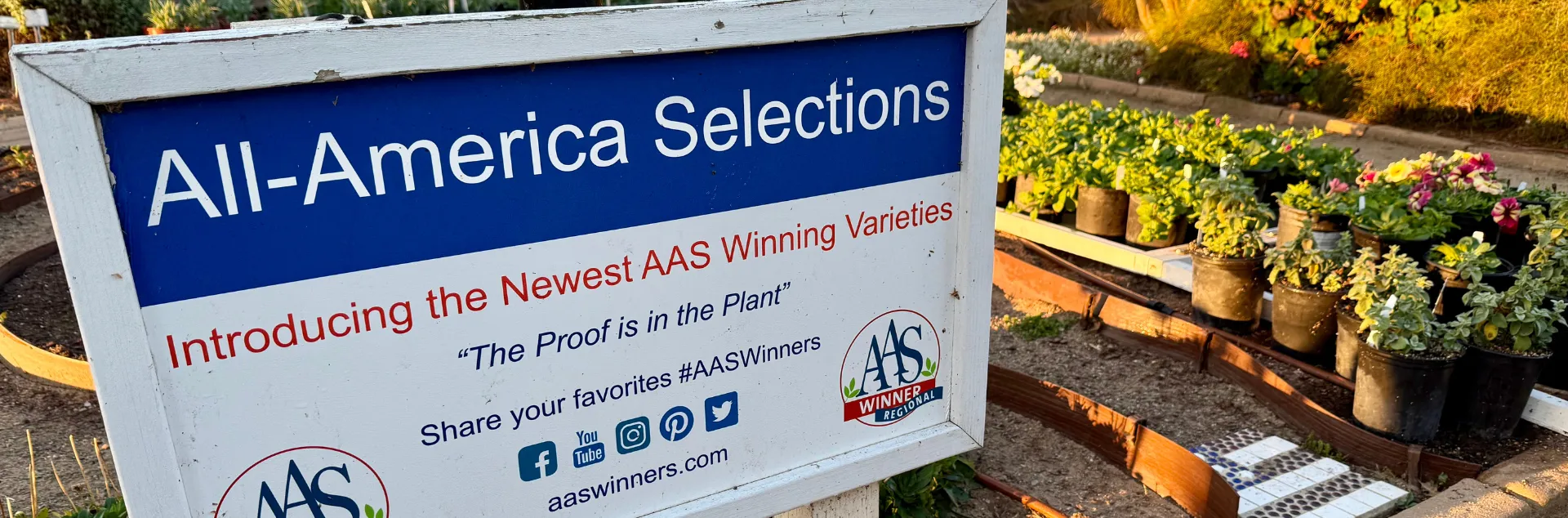 A sign that says All America Selections