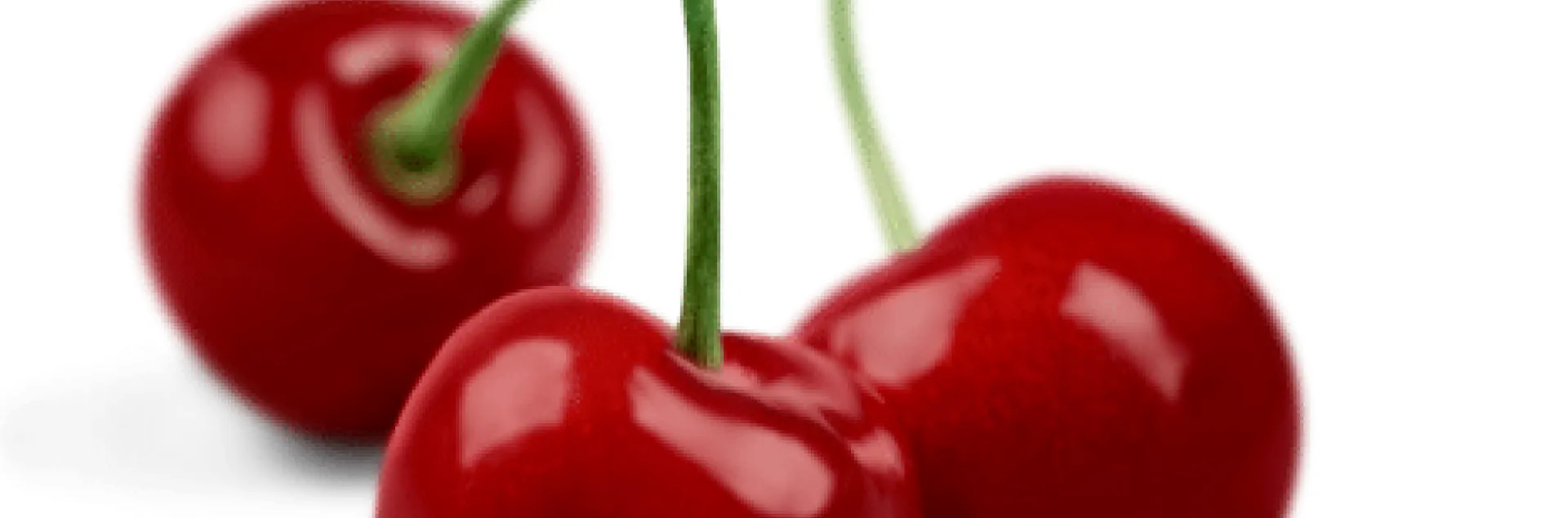 3 cherries with stems