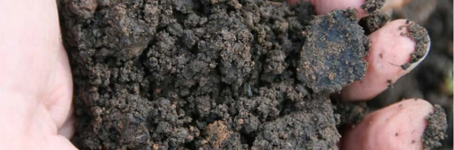 Dark soil held in someone's hand