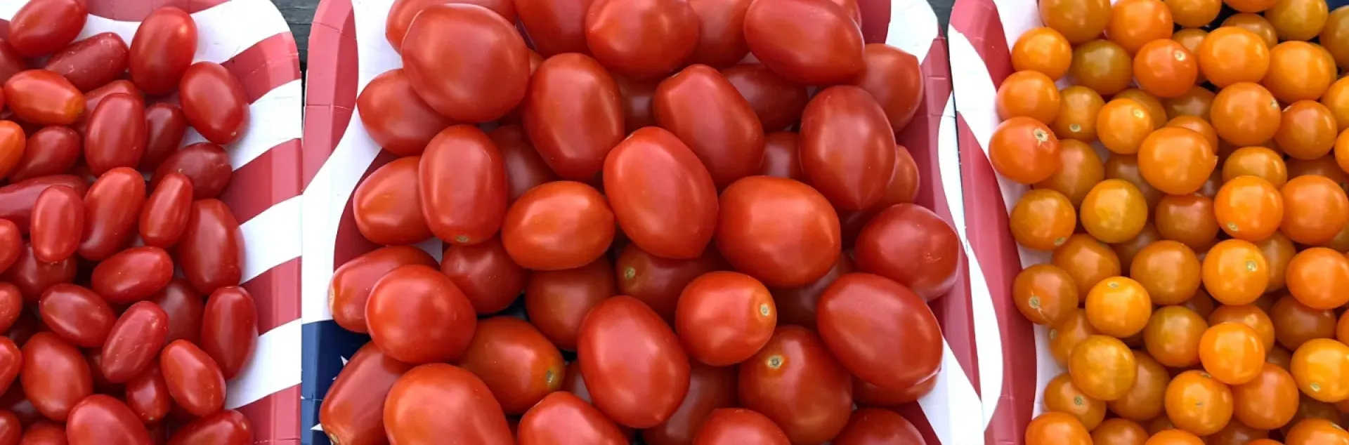 Three Tomato Varieties